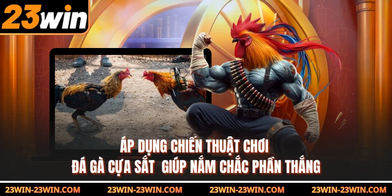 Áp dụng chiến thuật chơi đá gà cựa sắt  giúp nắm chắc phần thắng