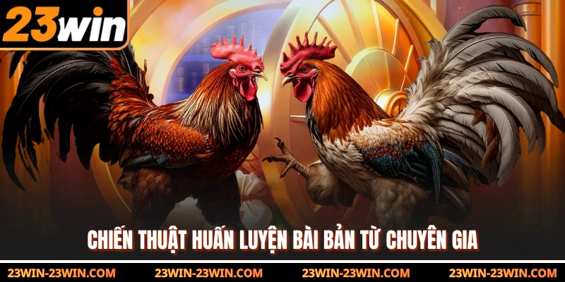 Chiến thuật huấn luyện bài bản từ chuyên gia