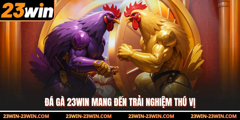 Đá gà 23Win mang đến trải nghiệm thú vị