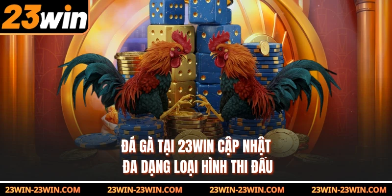 Đá gà tại 23Win cập nhật đa dạng loại hình thi đấu