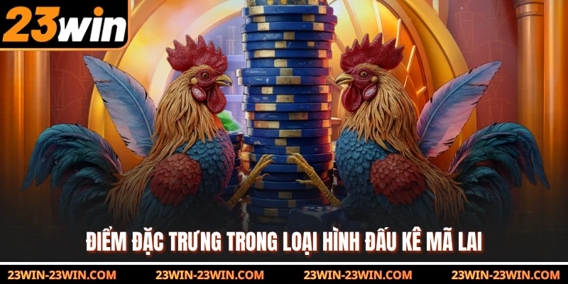 Điểm đặc trưng trong loại hình đấu kê Mã Lai
