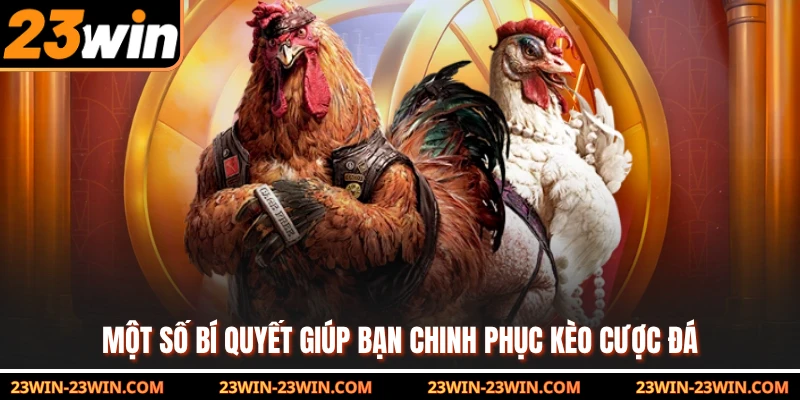 Một số bí quyết giúp bạn chinh phục kèo cược đá gà