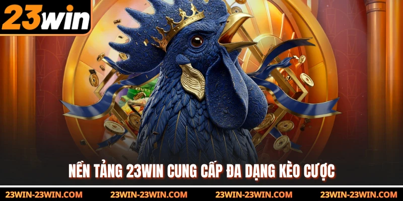 Nền tảng 23Win cung cấp đa dạng kèo cược
