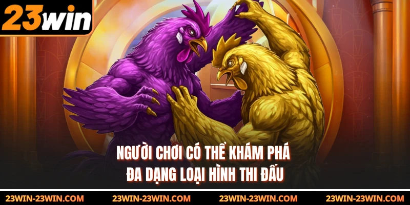Người chơi có thể khám phá đa dạng loại hình thi đấu