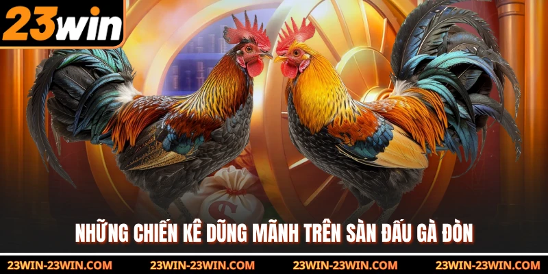 Những chiến kê dũng mãnh trên sàn đấu gà đòn