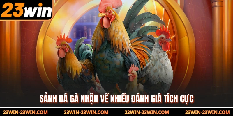 Sảnh đá gà nhận về nhiều đánh giá tích cực